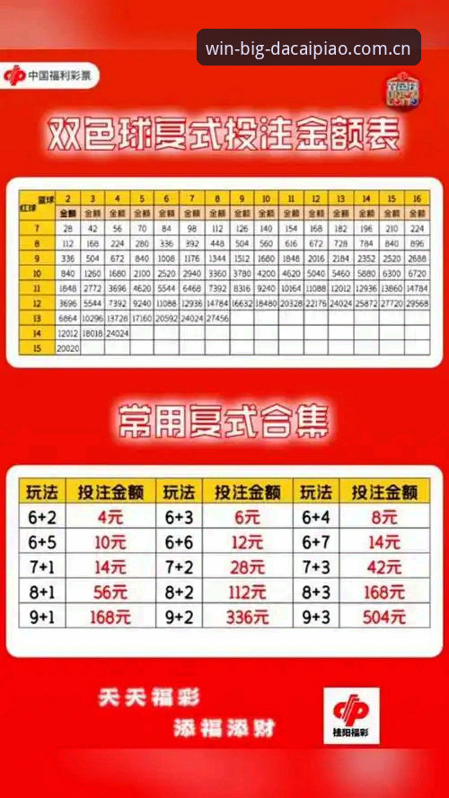 新手如何快速上手彩票软件？从下载到投注全攻略