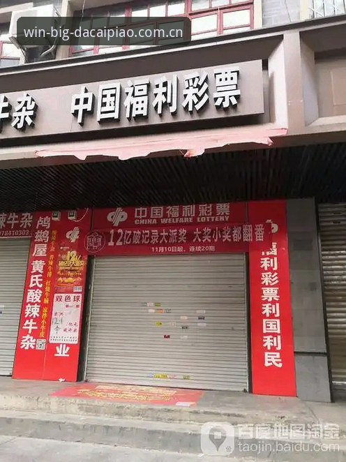 掌握大发彩票最新版本下载与投注的实用指南