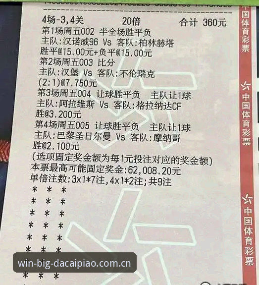 大发彩票竞彩的彩票开奖结果查询工具到底怎么用？技术评测揭秘高效投注策略